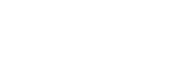 Brinks Logo White